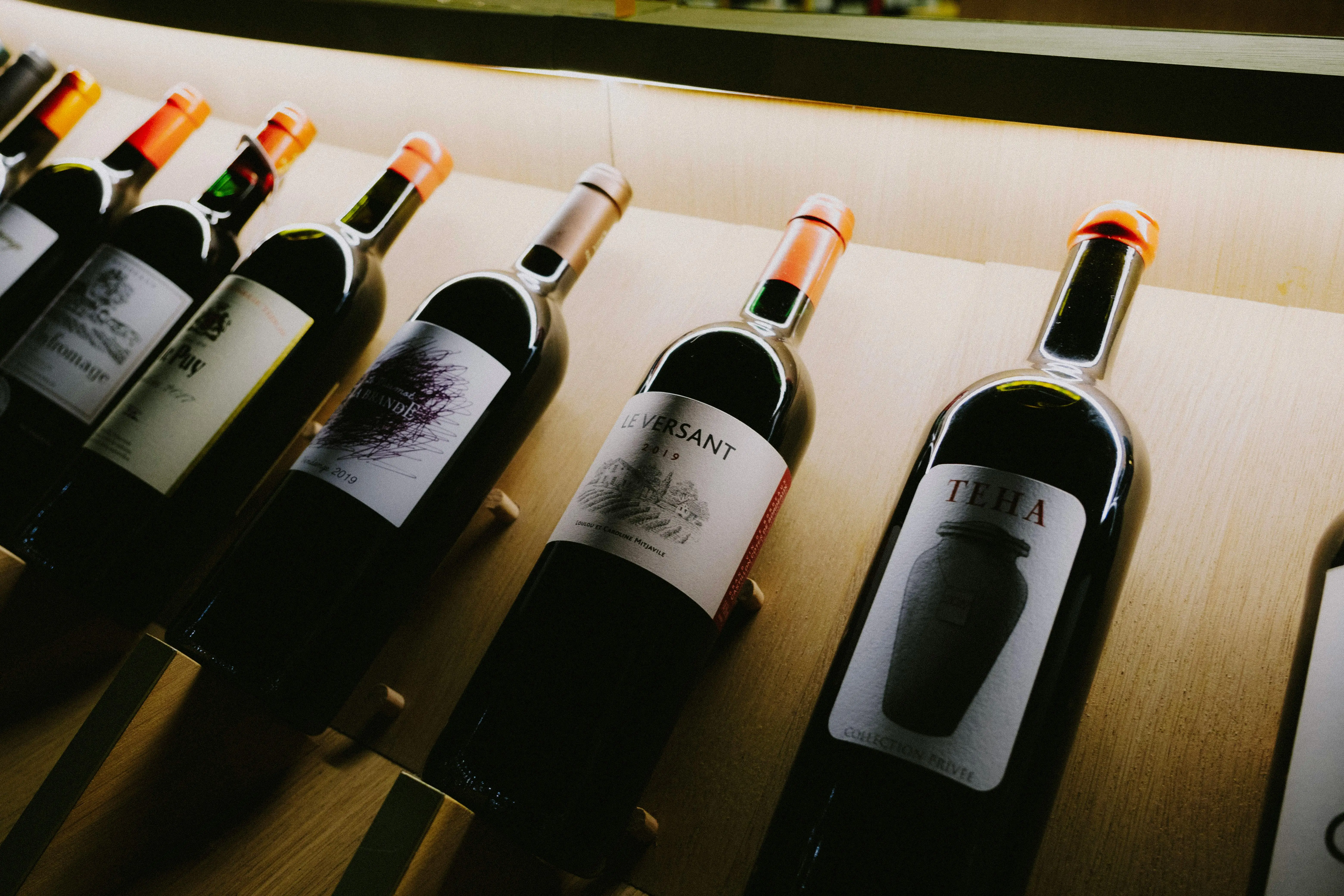 Atelier œnologique – Dégustation de vins dans les vignobles bordelais
