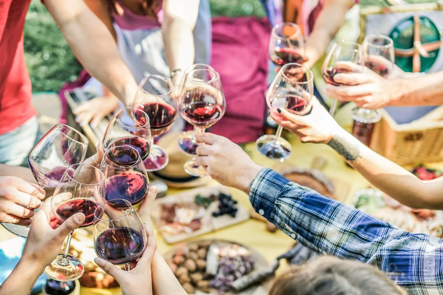 Dégustation de vin : Le nectar de Bordeaux à l’honneur