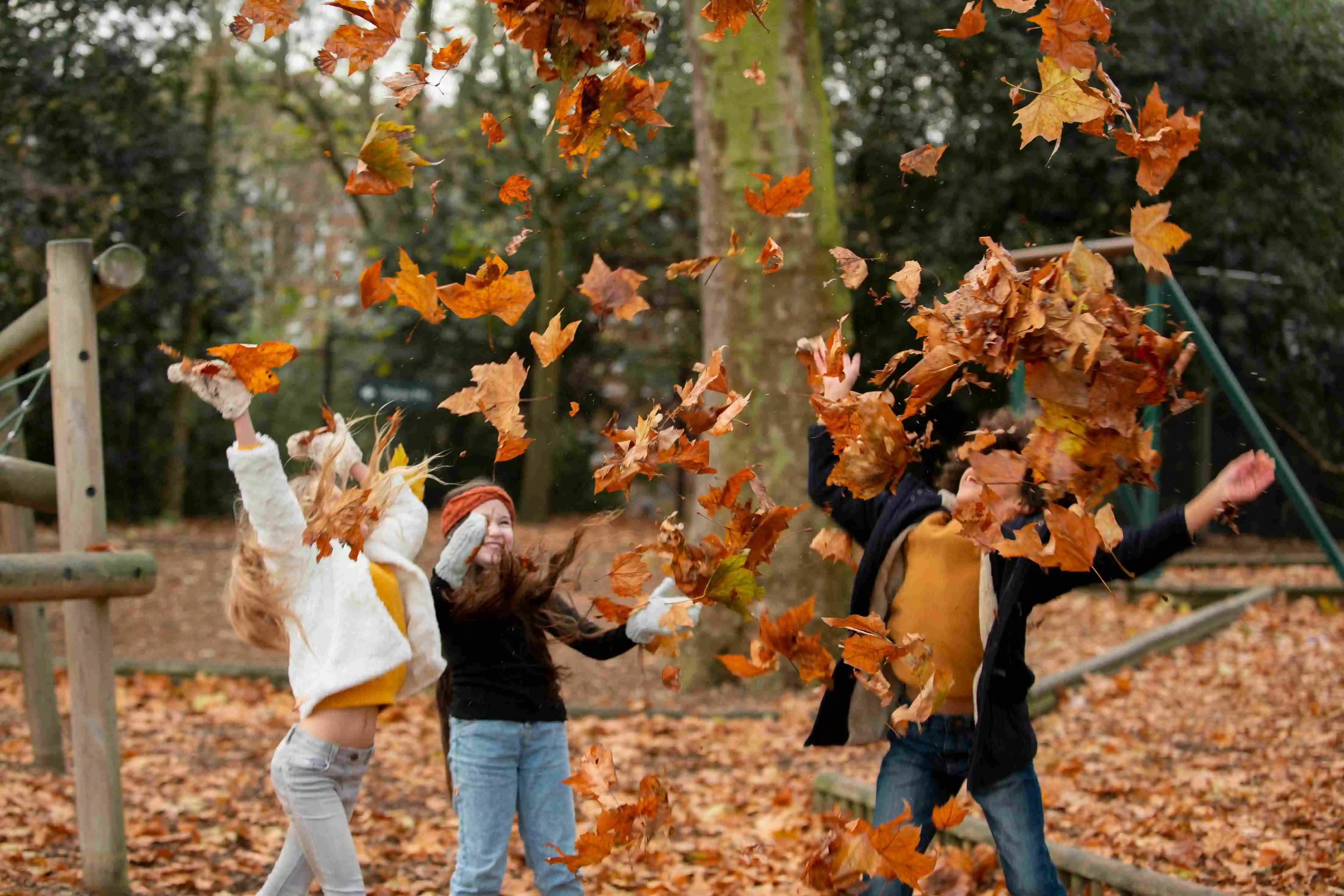 Top 5 des activités vacances de la Toussaint