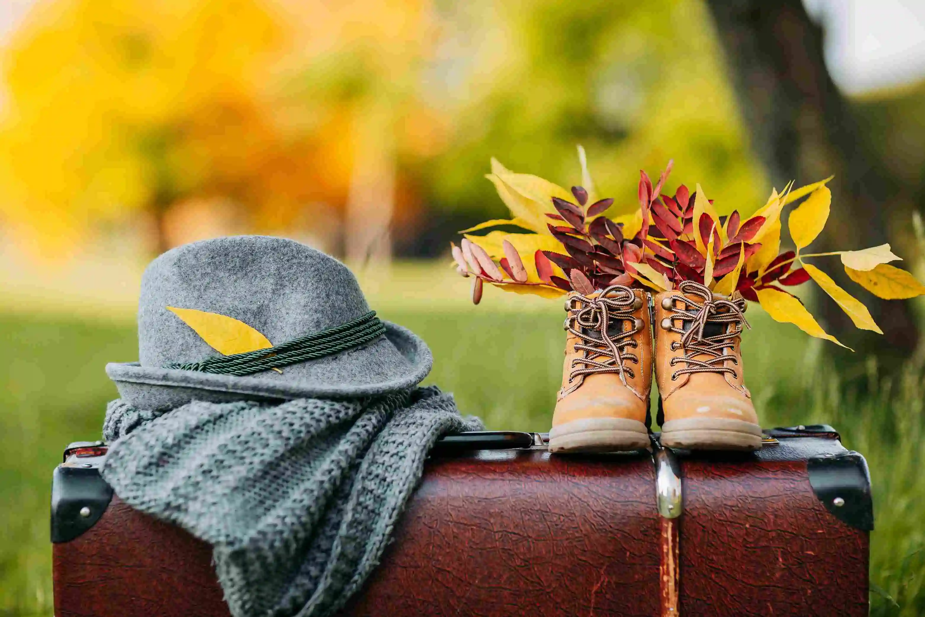 Un automne pas comme les autres